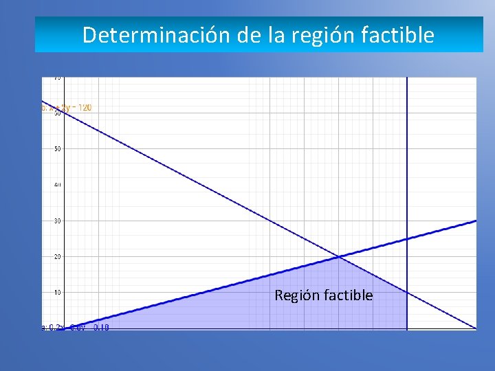 Determinación de la región factible Región factible 