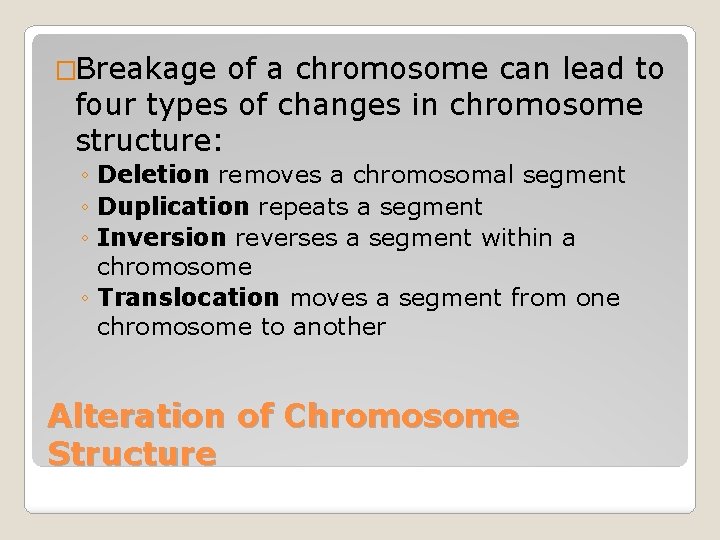 �Breakage of a chromosome can lead to four types of changes in chromosome structure: