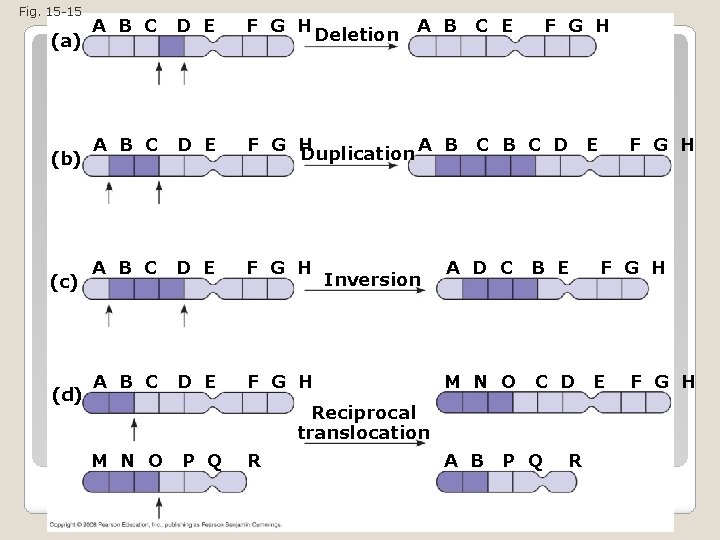 Fig. 15 -15 (a) (b) (c) (d) A B C D E F G