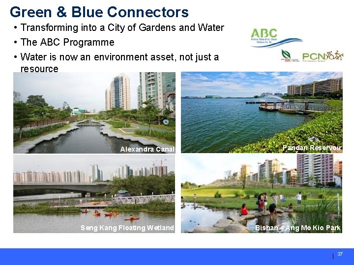 Green & Blue Connectors • Transforming into a City of Gardens and Water •