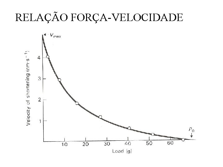 RELAÇÃO FORÇA-VELOCIDADE 