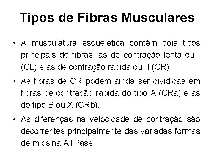 Tipos de Fibras Musculares • A musculatura esquelética contém dois tipos principais de fibras: