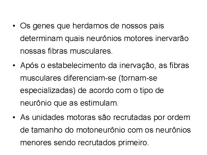  • Os genes que herdamos de nossos pais determinam quais neurônios motores inervarão