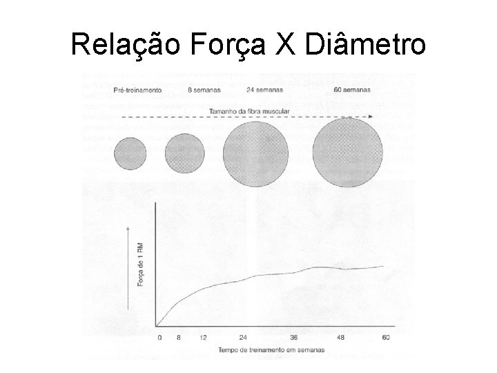 Relação Força X Diâmetro 