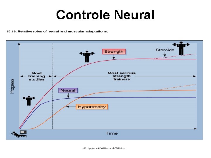 Controle Neural 