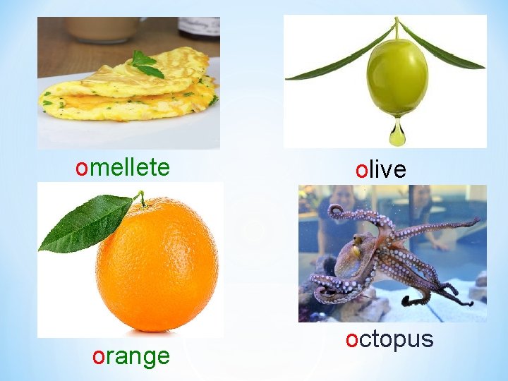 omellete orange olive octopus 