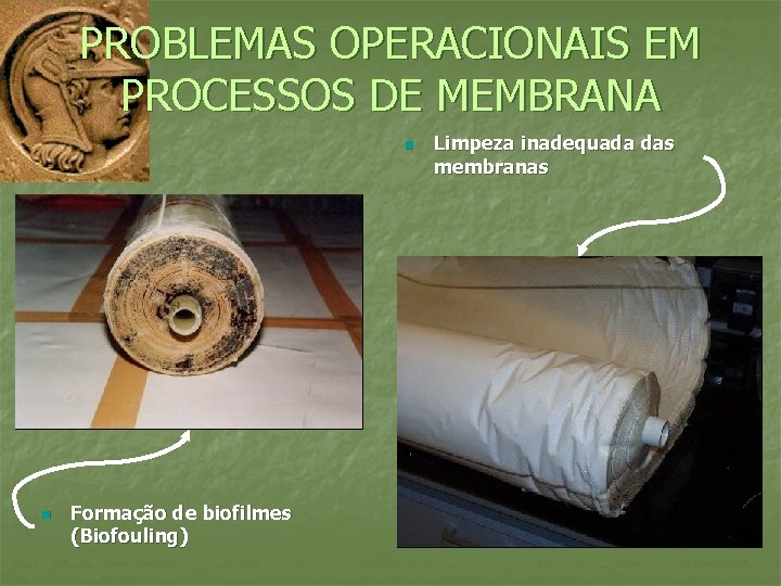 PROBLEMAS OPERACIONAIS EM PROCESSOS DE MEMBRANA n n Formação de biofilmes (Biofouling) Limpeza inadequada