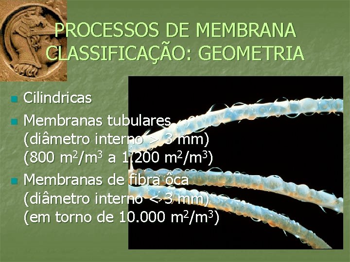 PROCESSOS DE MEMBRANA CLASSIFICAÇÃO: GEOMETRIA n n n Cilindricas Membranas tubulares (diâmetro interno >