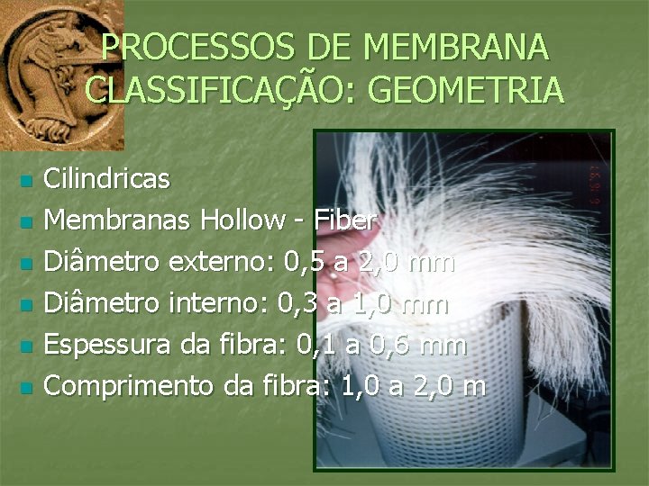 PROCESSOS DE MEMBRANA CLASSIFICAÇÃO: GEOMETRIA n n n Cilindricas Membranas Hollow - Fiber Diâmetro