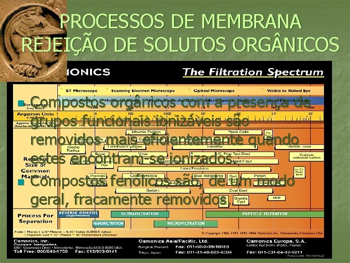 PROCESSOS DE MEMBRANA REJEIÇÃO DE SOLUTOS ORG NICOS n n Compostos orgânicos com a