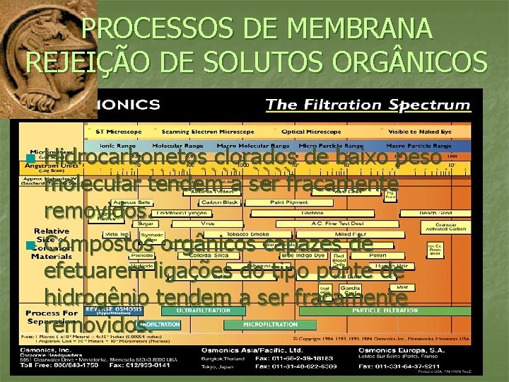 PROCESSOS DE MEMBRANA REJEIÇÃO DE SOLUTOS ORG NICOS n n Hidrocarbonetos clorados de baixo