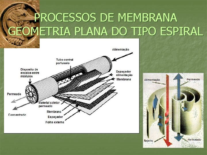 PROCESSOS DE MEMBRANA GEOMETRIA PLANA DO TIPO ESPIRAL 