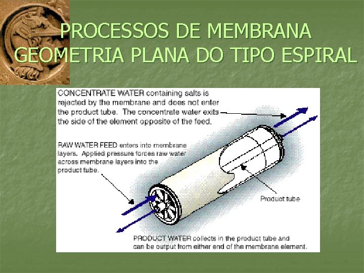 PROCESSOS DE MEMBRANA GEOMETRIA PLANA DO TIPO ESPIRAL 