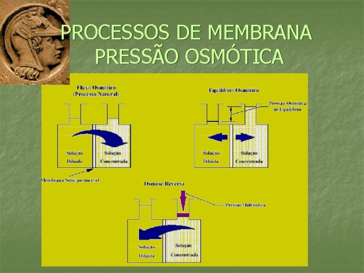 PROCESSOS DE MEMBRANA PRESSÃO OSMÓTICA 