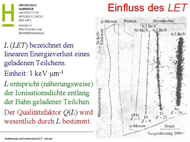 Einfluss des LET L (LET) bezeichnet den linearen Energieverlust eines geladenen Teilchens. Einheit: 1