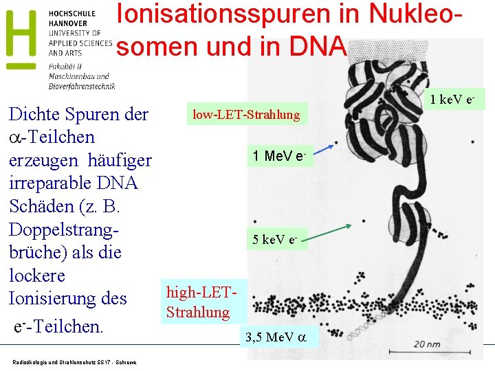 Ionisationsspuren in Nukleosomen und in DNA low-LET-Strahlung Dichte Spuren der -Teilchen 1 Me. V