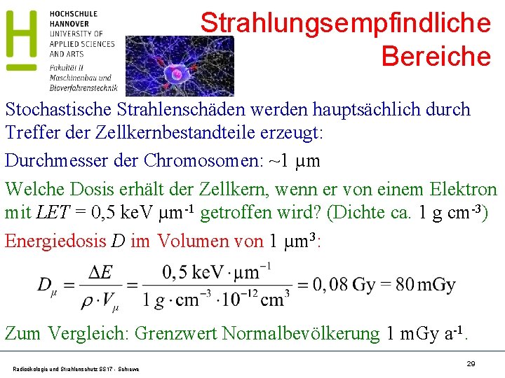 Strahlungsempfindliche Bereiche Stochastische Strahlenschäden werden hauptsächlich durch Treffer der Zellkernbestandteile erzeugt: Durchmesser der Chromosomen: