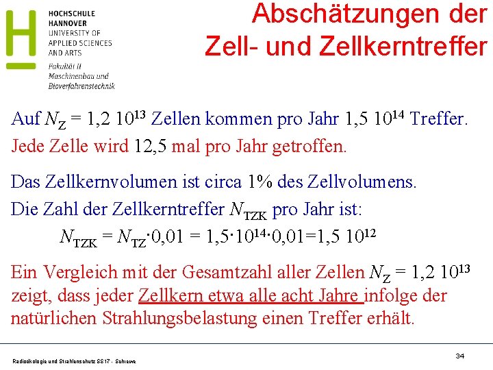 Abschätzungen der Zell- und Zellkerntreffer Auf NZ = 1, 2 1013 Zellen kommen pro