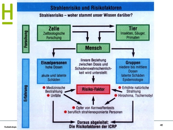 Radioökologie und Strahlenschutz SS 17 - Schrewe 45 