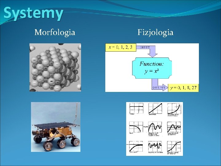 Systemy Morfologia Fizjologia 