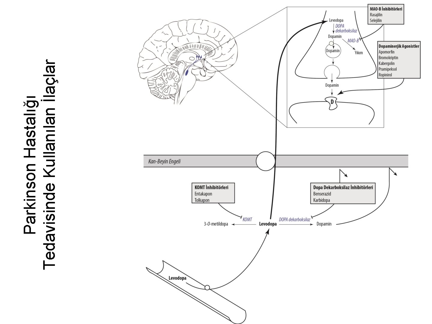 Parkinson Hastalığı Tedavisinde Kullanılan İlaçlar 