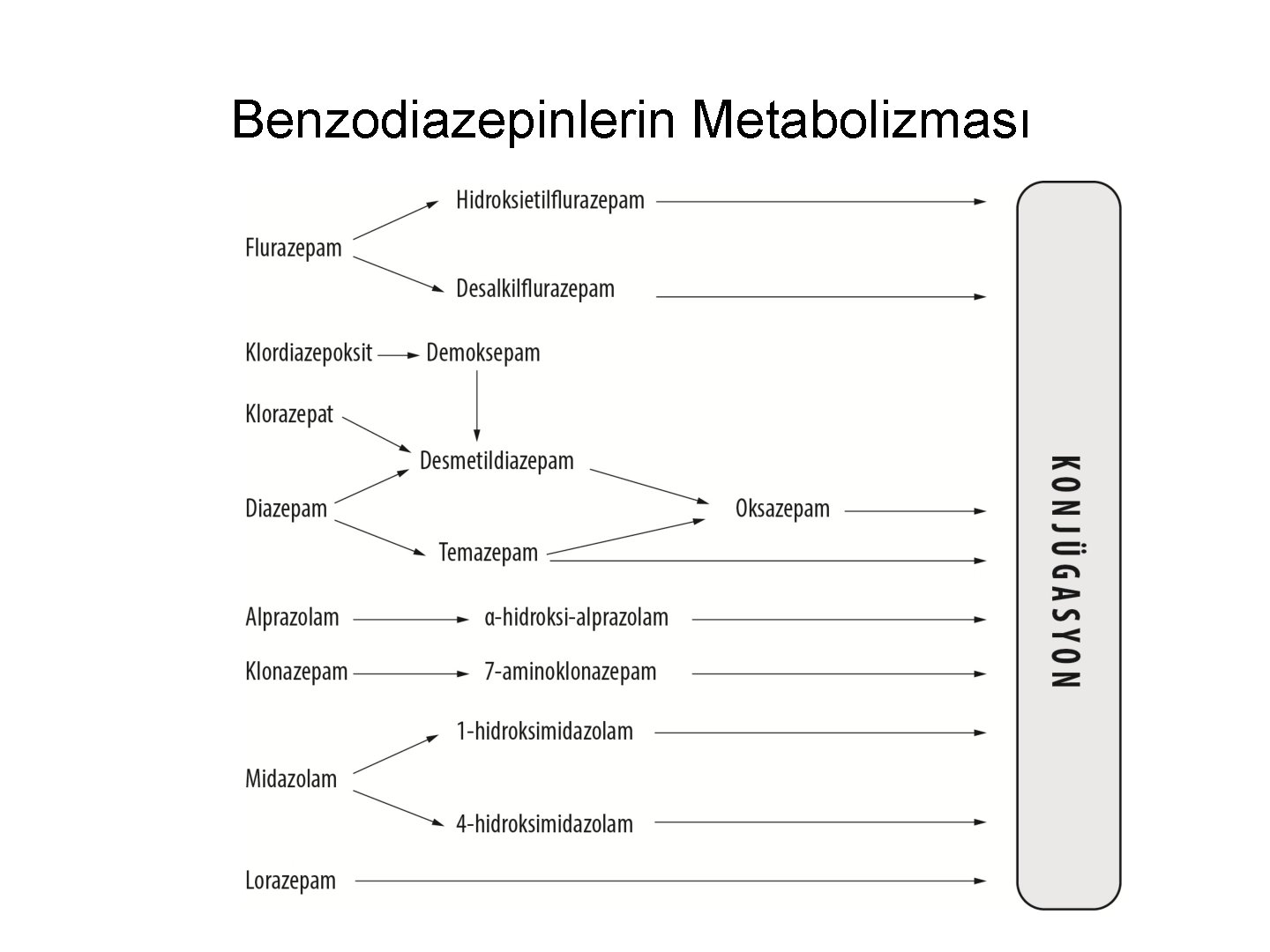 Benzodiazepinlerin Metabolizması 