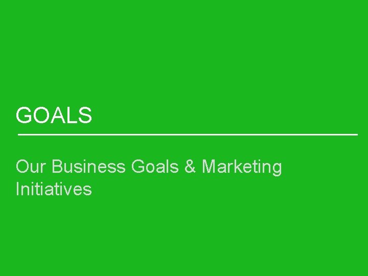 GOALS Our Business Goals & Marketing Initiatives 