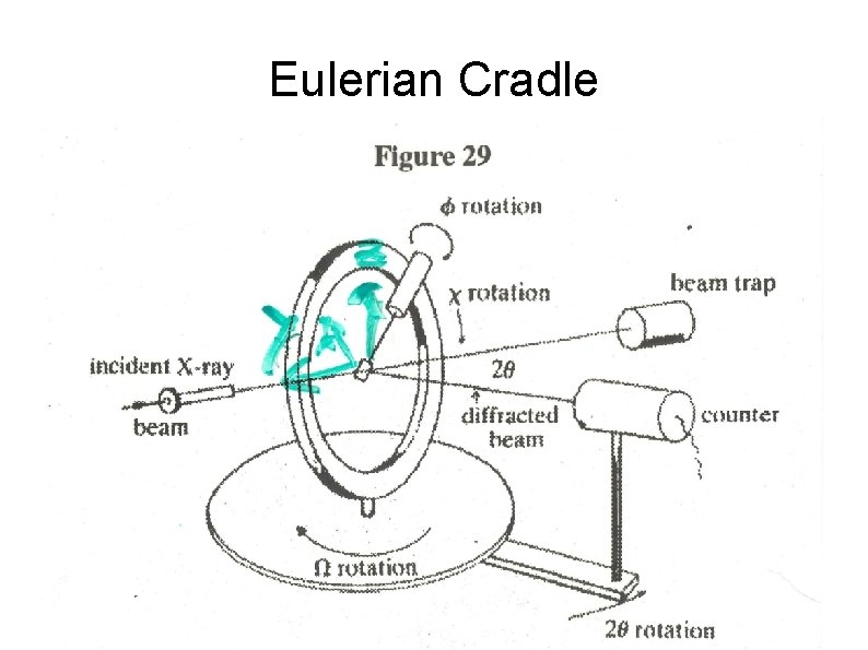 Eulerian Cradle 