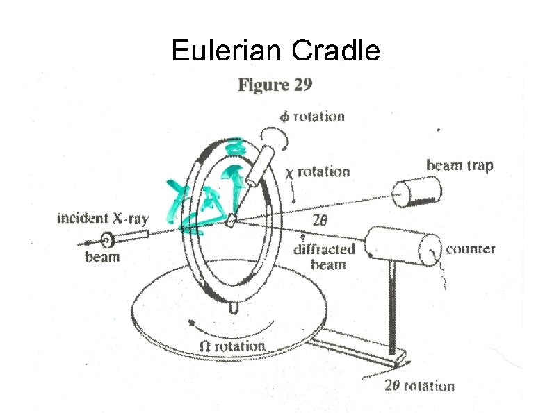 Eulerian Cradle 