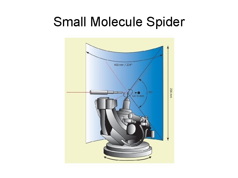 Small Molecule Spider 