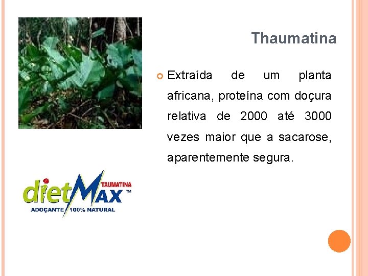 Thaumatina Extraída de um planta africana, proteína com doçura relativa de 2000 até 3000