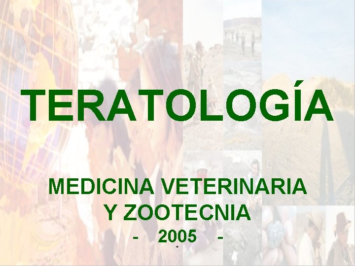 TERATOLOGÍA MEDICINA VETERINARIA Y ZOOTECNIA - 2005 * - TERATOLOGÍA MEDICINA VETERINARIA Y ZOOTECNIA - 2005 * -