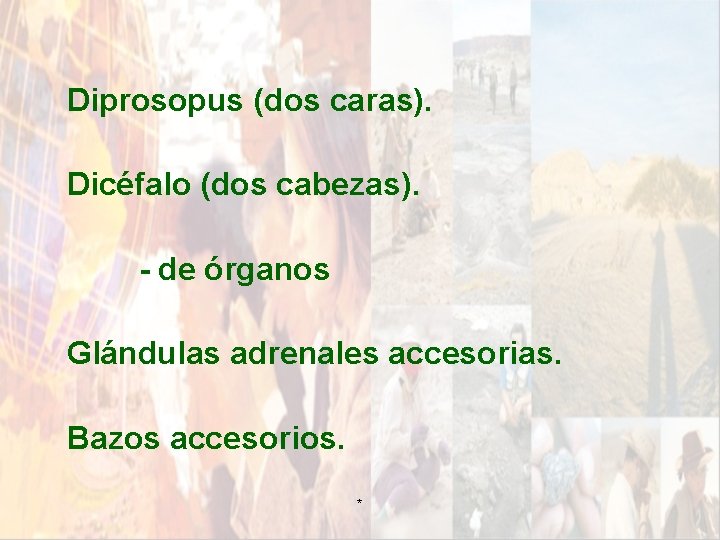 Diprosopus (dos caras). Dicéfalo (dos cabezas). - de órganos Glándulas adrenales accesorias. Bazos accesorios. Diprosopus (dos caras). Dicéfalo (dos cabezas). - de órganos Glándulas adrenales accesorias. Bazos accesorios.