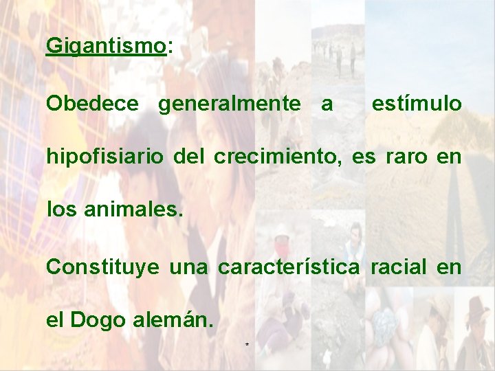 Gigantismo: Obedece generalmente a estímulo hipofisiario del crecimiento, es raro en los animales. Constituye Gigantismo: Obedece generalmente a estímulo hipofisiario del crecimiento, es raro en los animales. Constituye