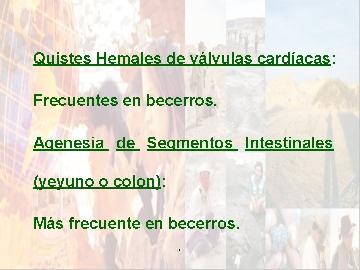 Quistes Hemales de válvulas cardíacas: Frecuentes en becerros. Agenesia de Segmentos Intestinales (yeyuno o Quistes Hemales de válvulas cardíacas: Frecuentes en becerros. Agenesia de Segmentos Intestinales (yeyuno o