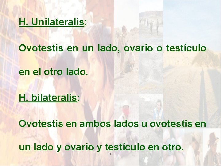 H. Unilateralis: Ovotestis en un lado, ovario o testículo en el otro lado. H. H. Unilateralis: Ovotestis en un lado, ovario o testículo en el otro lado. H.