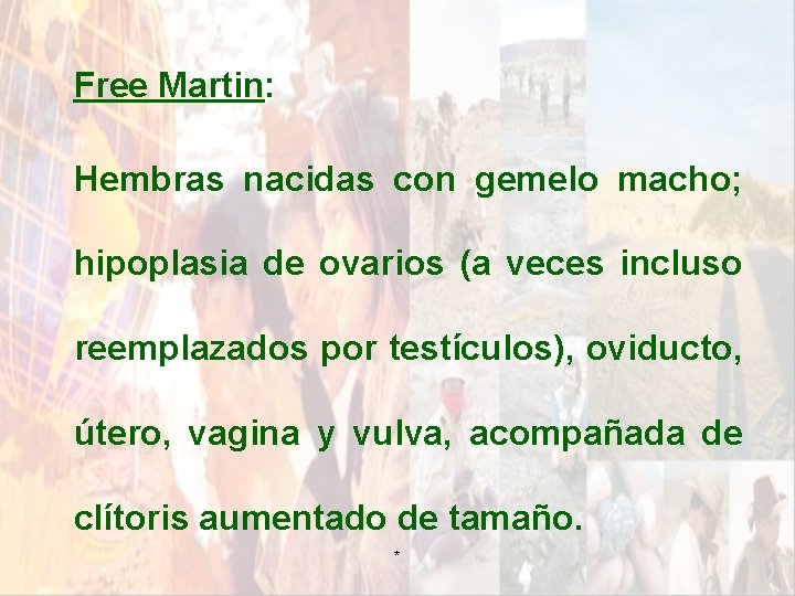Free Martin: Hembras nacidas con gemelo macho; hipoplasia de ovarios (a veces incluso reemplazados Free Martin: Hembras nacidas con gemelo macho; hipoplasia de ovarios (a veces incluso reemplazados