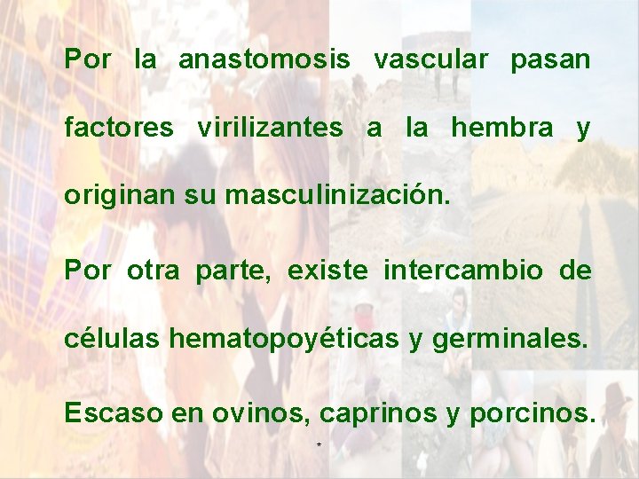 Por la anastomosis vascular pasan factores virilizantes a la hembra y originan su masculinización. Por la anastomosis vascular pasan factores virilizantes a la hembra y originan su masculinización.