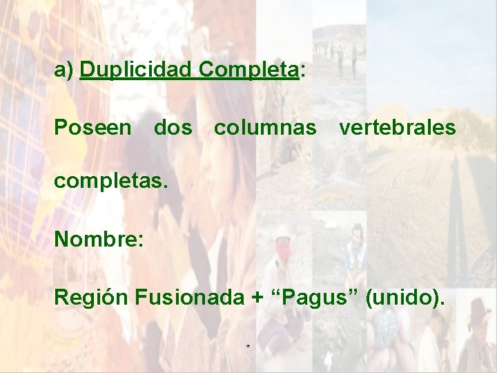 a) Duplicidad Completa: Poseen dos columnas vertebrales completas. Nombre: Región Fusionada + “Pagus” (unido). a) Duplicidad Completa: Poseen dos columnas vertebrales completas. Nombre: Región Fusionada + “Pagus” (unido).