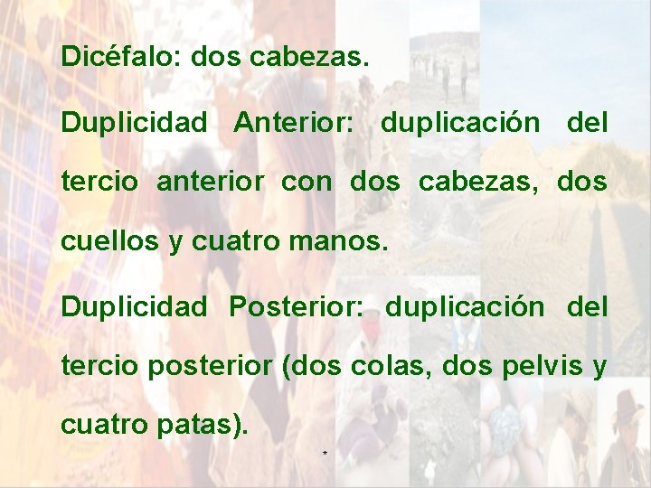 Dicéfalo: dos cabezas. Duplicidad Anterior: duplicación del tercio anterior con dos cabezas, dos cuellos Dicéfalo: dos cabezas. Duplicidad Anterior: duplicación del tercio anterior con dos cabezas, dos cuellos