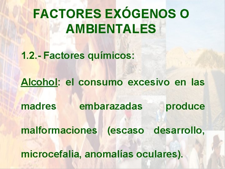 FACTORES EXÓGENOS O AMBIENTALES 1. 2. - Factores químicos: Alcohol: el consumo excesivo en FACTORES EXÓGENOS O AMBIENTALES 1. 2. - Factores químicos: Alcohol: el consumo excesivo en