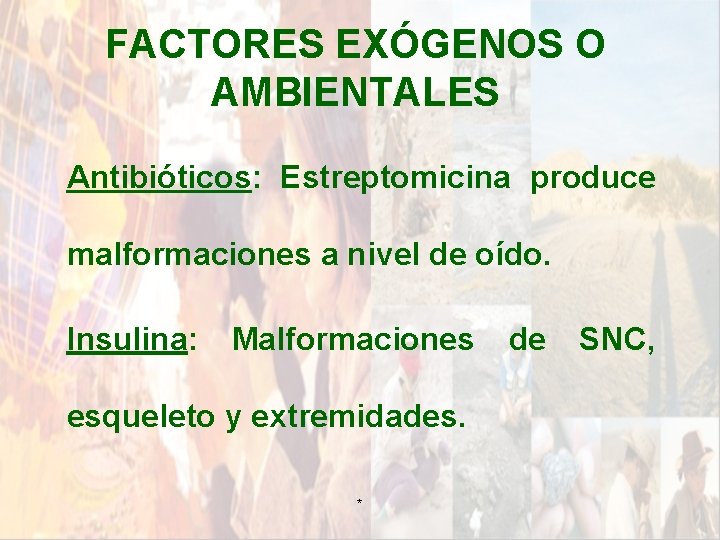 FACTORES EXÓGENOS O AMBIENTALES Antibióticos: Estreptomicina produce malformaciones a nivel de oído. Insulina: Malformaciones FACTORES EXÓGENOS O AMBIENTALES Antibióticos: Estreptomicina produce malformaciones a nivel de oído. Insulina: Malformaciones