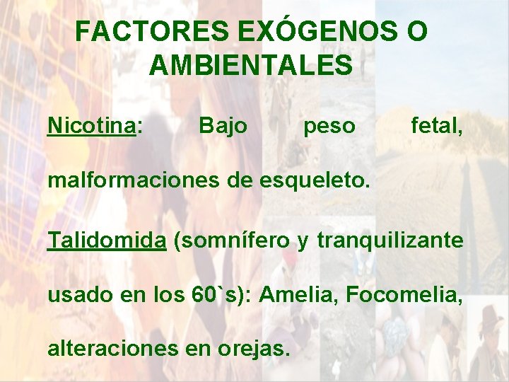 FACTORES EXÓGENOS O AMBIENTALES Nicotina: Bajo peso fetal, malformaciones de esqueleto. Talidomida (somnífero y FACTORES EXÓGENOS O AMBIENTALES Nicotina: Bajo peso fetal, malformaciones de esqueleto. Talidomida (somnífero y