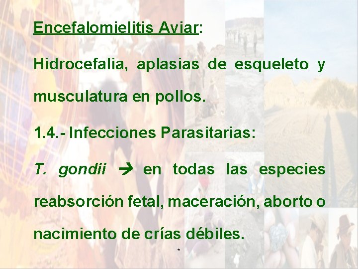 Encefalomielitis Aviar: Hidrocefalia, aplasias de esqueleto y musculatura en pollos. 1. 4. - Infecciones Encefalomielitis Aviar: Hidrocefalia, aplasias de esqueleto y musculatura en pollos. 1. 4. - Infecciones