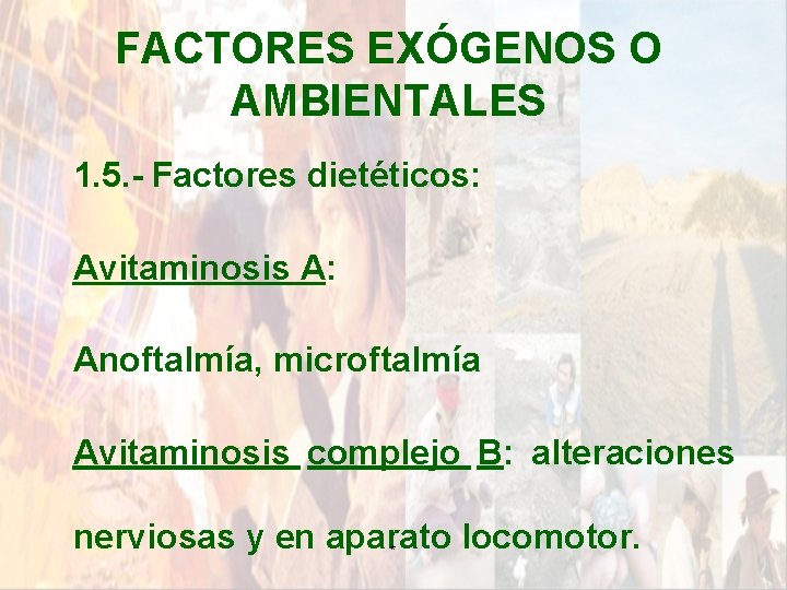 FACTORES EXÓGENOS O AMBIENTALES 1. 5. - Factores dietéticos: Avitaminosis A: Anoftalmía, microftalmía Avitaminosis FACTORES EXÓGENOS O AMBIENTALES 1. 5. - Factores dietéticos: Avitaminosis A: Anoftalmía, microftalmía Avitaminosis