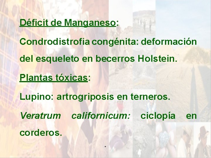Déficit de Manganeso: Condrodistrofia congénita: deformación del esqueleto en becerros Holstein. Plantas tóxicas: Lupino: Déficit de Manganeso: Condrodistrofia congénita: deformación del esqueleto en becerros Holstein. Plantas tóxicas: Lupino: