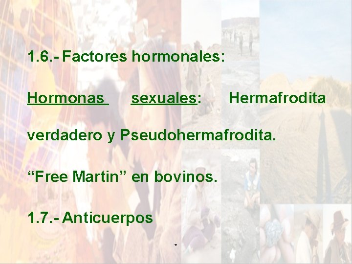 1. 6. - Factores hormonales: Hormonas sexuales: Hermafrodita verdadero y Pseudohermafrodita. “Free Martin” en 1. 6. - Factores hormonales: Hormonas sexuales: Hermafrodita verdadero y Pseudohermafrodita. “Free Martin” en