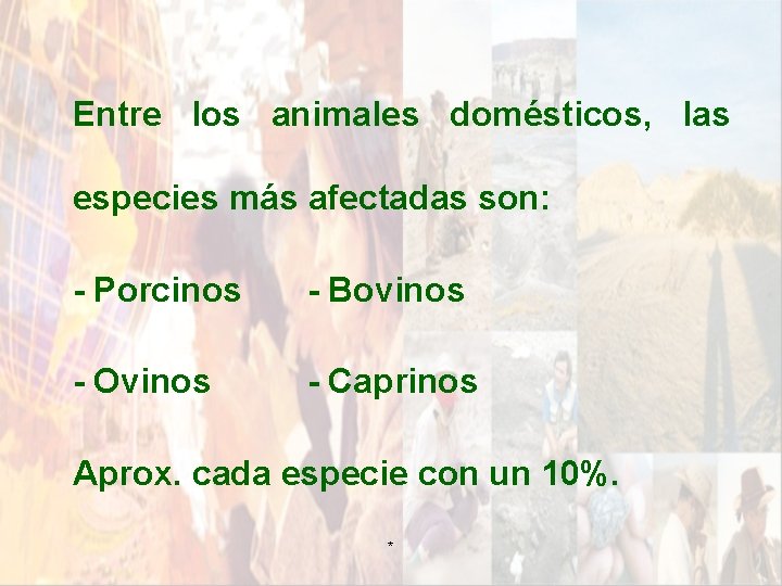 Entre los animales domésticos, las especies más afectadas son: - Porcinos - Bovinos - Entre los animales domésticos, las especies más afectadas son: - Porcinos - Bovinos -
