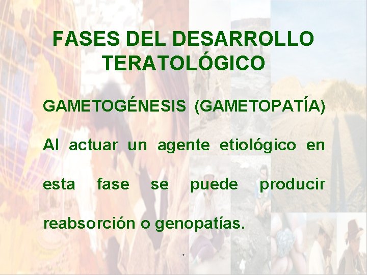 FASES DEL DESARROLLO TERATOLÓGICO GAMETOGÉNESIS (GAMETOPATÍA) Al actuar un agente etiológico en esta fase FASES DEL DESARROLLO TERATOLÓGICO GAMETOGÉNESIS (GAMETOPATÍA) Al actuar un agente etiológico en esta fase