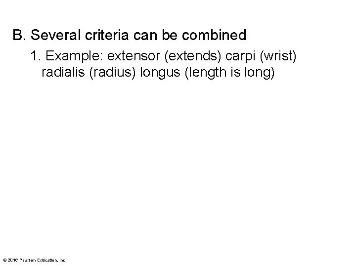 B. Several criteria can be combined 1. Example: extensor (extends) carpi (wrist) radialis (radius) B. Several criteria can be combined 1. Example: extensor (extends) carpi (wrist) radialis (radius)